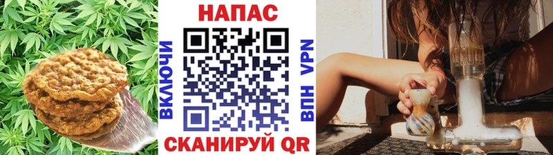 Cannafood конопля  Геленджик 