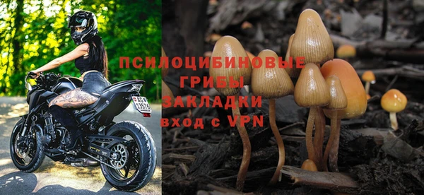 дурь Аркадак