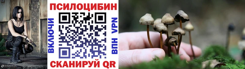 где купить наркоту  KRAKEN ССЫЛКА  мориарти наркотические препараты  Геленджик  Галлюциногенные грибы мухоморы 